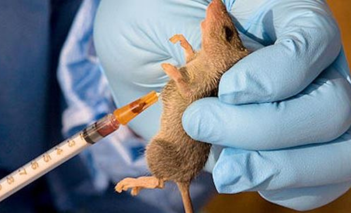 Fatal Lassa Fever