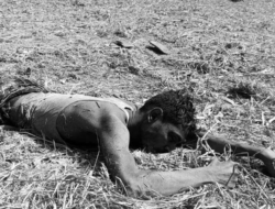 Indian Man Found Dead in Dhanusa