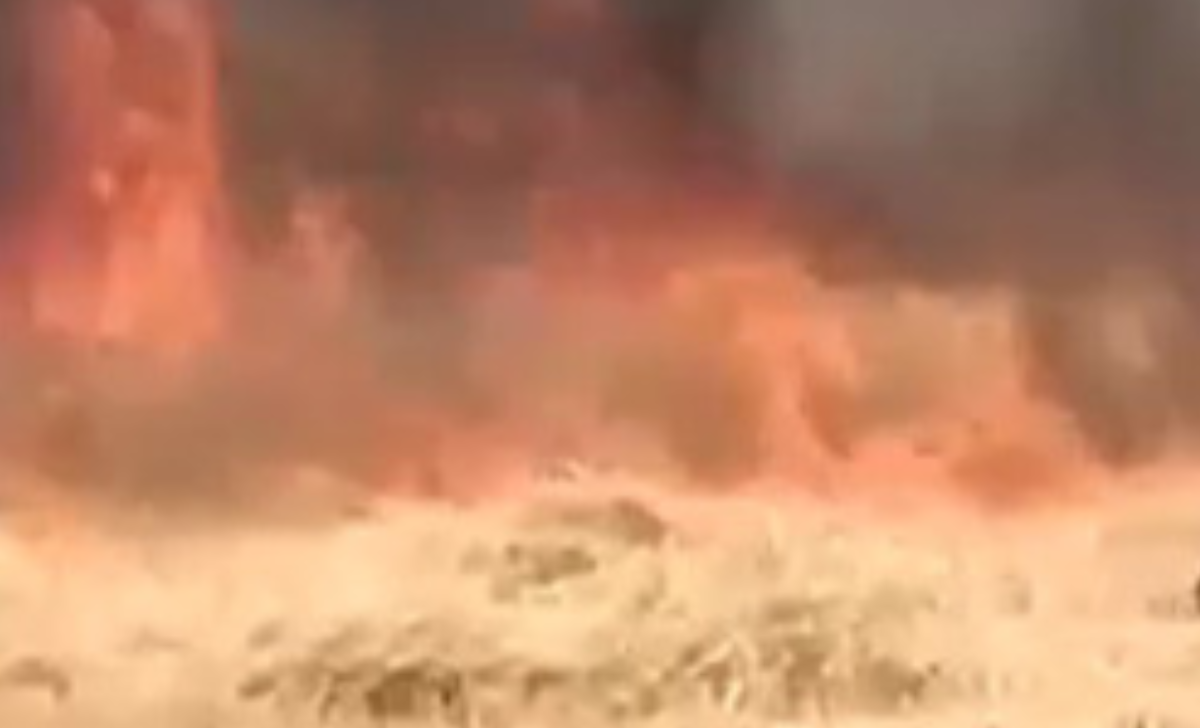 Kapilvastu Wheat Field Fire