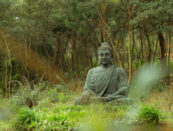 Buddha Jayanti Nepal