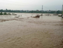 Mai Khola Flooding Destroys Crops in Jhapa