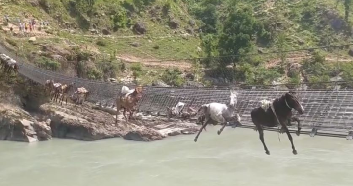 Karnali River Suspension Bridge