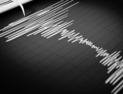 Earthquake Strikes Miyazaki