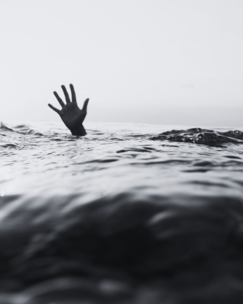 Drowns in Narayani River