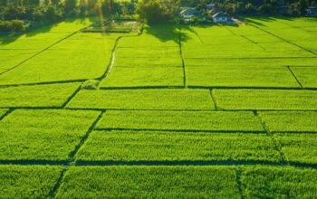 Nepal Government Land Allotments