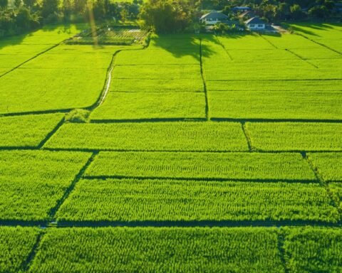 Nepal Government Land Allotments