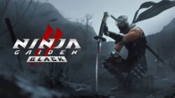 ninja gaiden ii black by Ditible